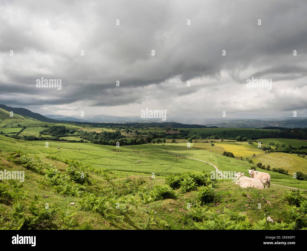 Hay's Bluff, Black Mountains, Brecon Beacons National Park, Galles Foto Stock