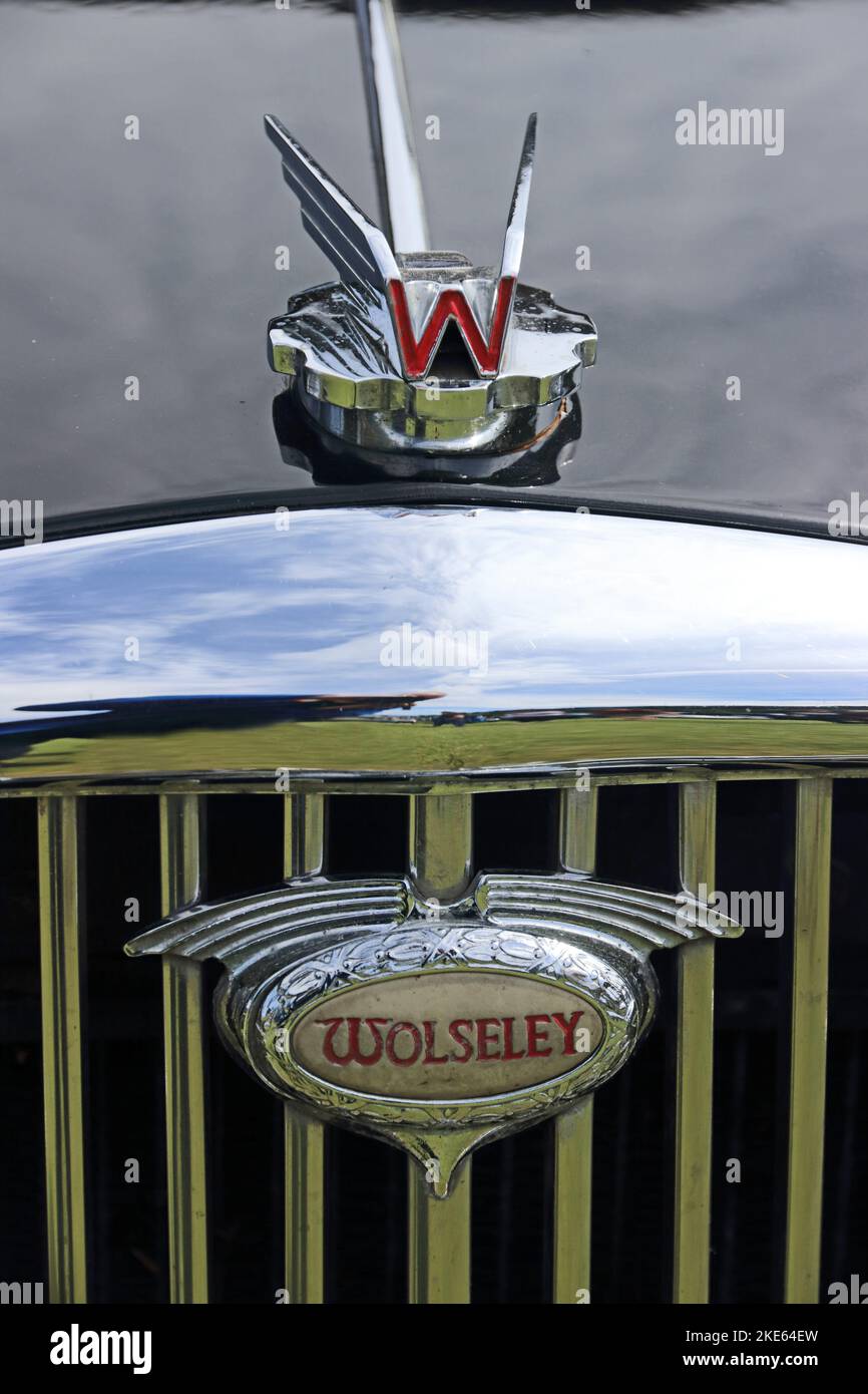 Badge per auto Wolseley e mascotte Flying W. Foto Stock