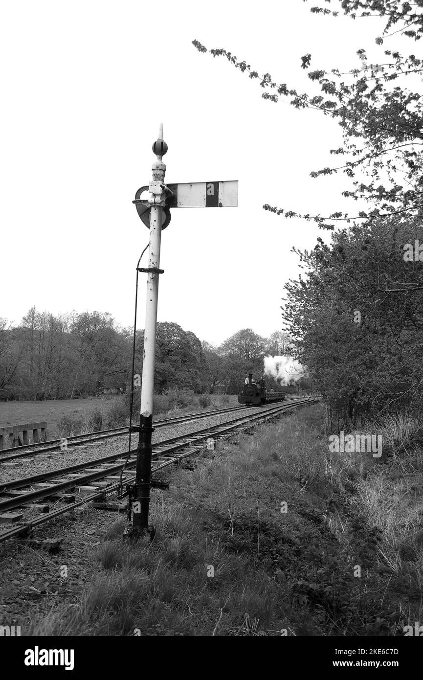 'Winifred' a Llangower con un treno di carri di ardesia. Foto Stock