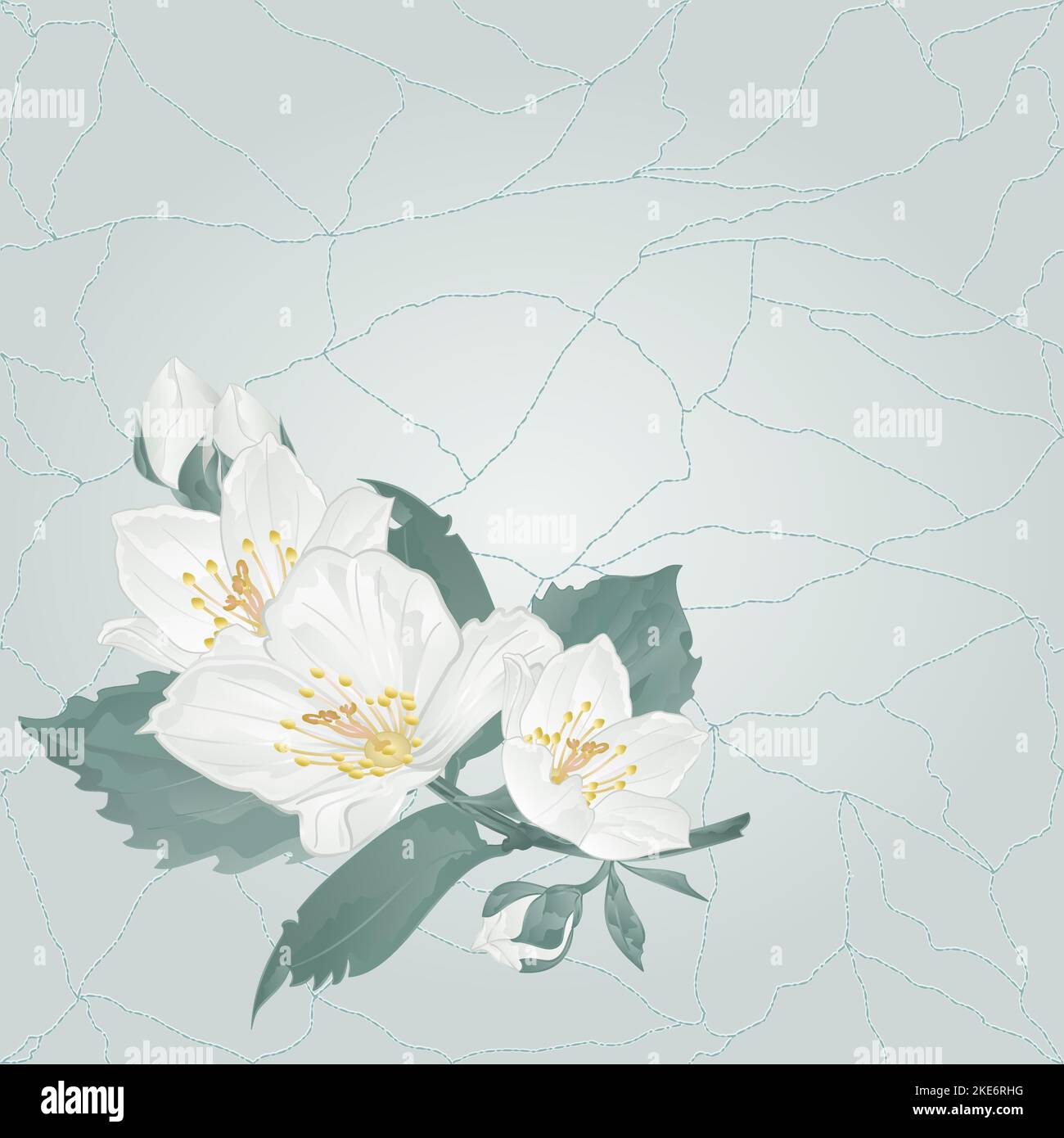 Gambo di Jasmine fiore e gemme su uno sfondo blu crepe in porcellana luogo per testo vintage vettoriale illustrazione modificabile mano disegno Illustrazione Vettoriale