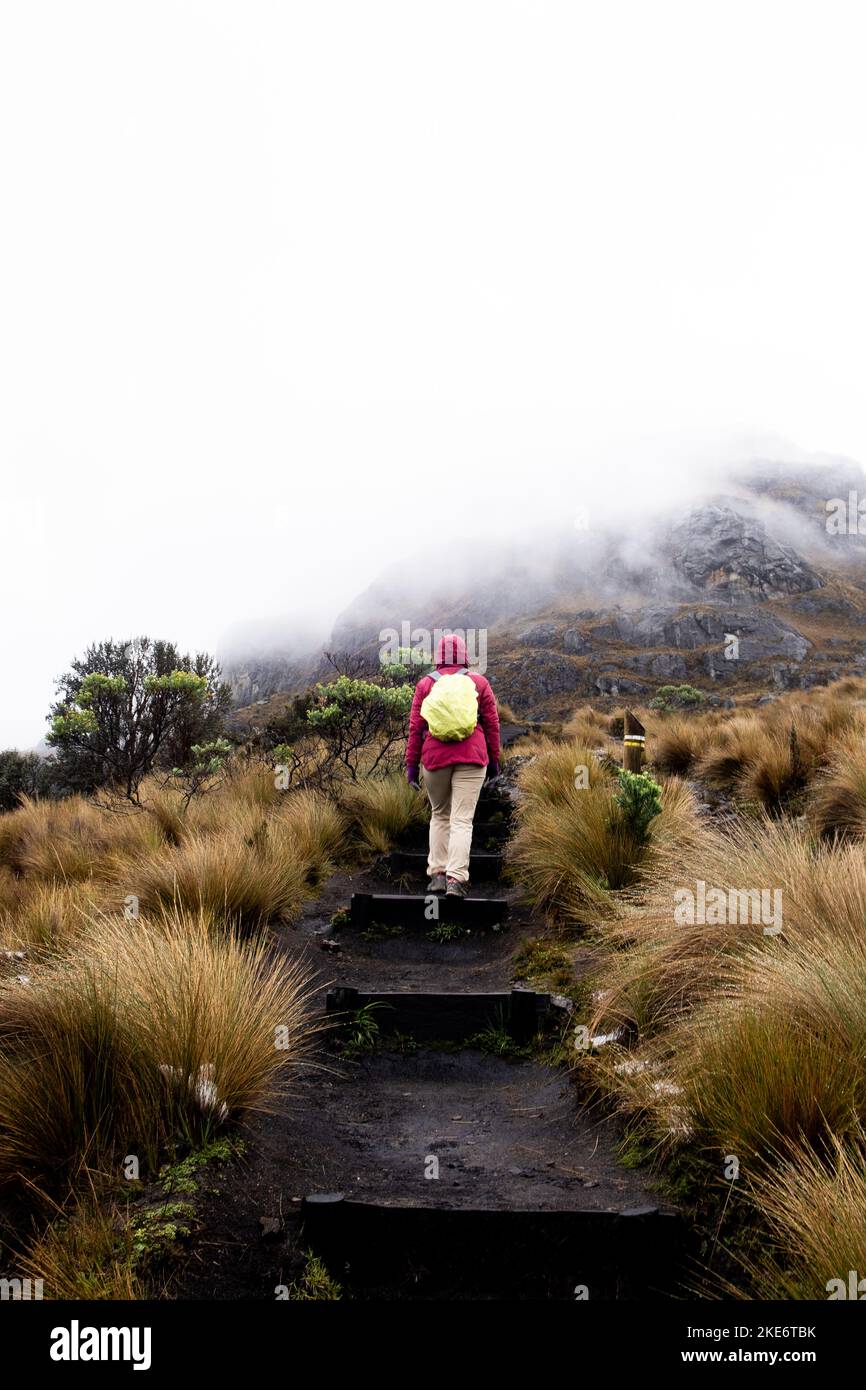 Una ragazza escursionista che cammina su scale scivolose nelle montagne del Parco Nazionale Cajas nelle Alte Andine dell'Ecuador in una giornata piovosa e nuvolosa Foto Stock