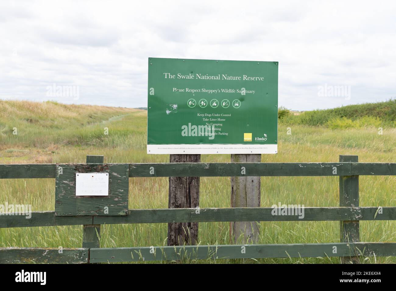 Swale National Nature Reserve e Elmsley National Nature Reserve, Isola di Sheppey, Kent, Inghilterra, Regno Unito Foto Stock