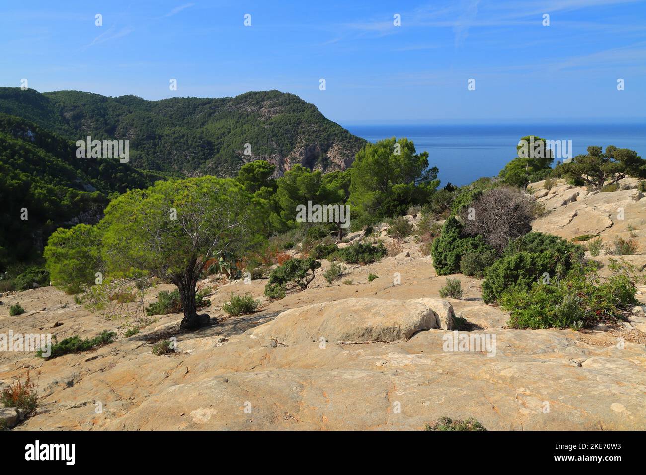 Zona tranquilla vicino a Port De Sant Miquel, Ibiza, Isole Baleari, Spagna. Foto Stock