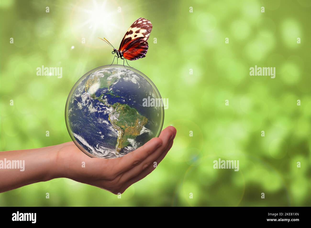 Concetto di protezione dell'ambiente naturale con pianeta terra all'interno di sfera di vetro con farfalla e spazio copia. Concetto di climatizzazione, ambiente c Foto Stock