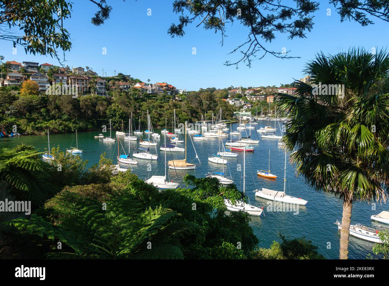 Barche a vela ancorate a Mosman Bay, Sydney, Australia Foto Stock
