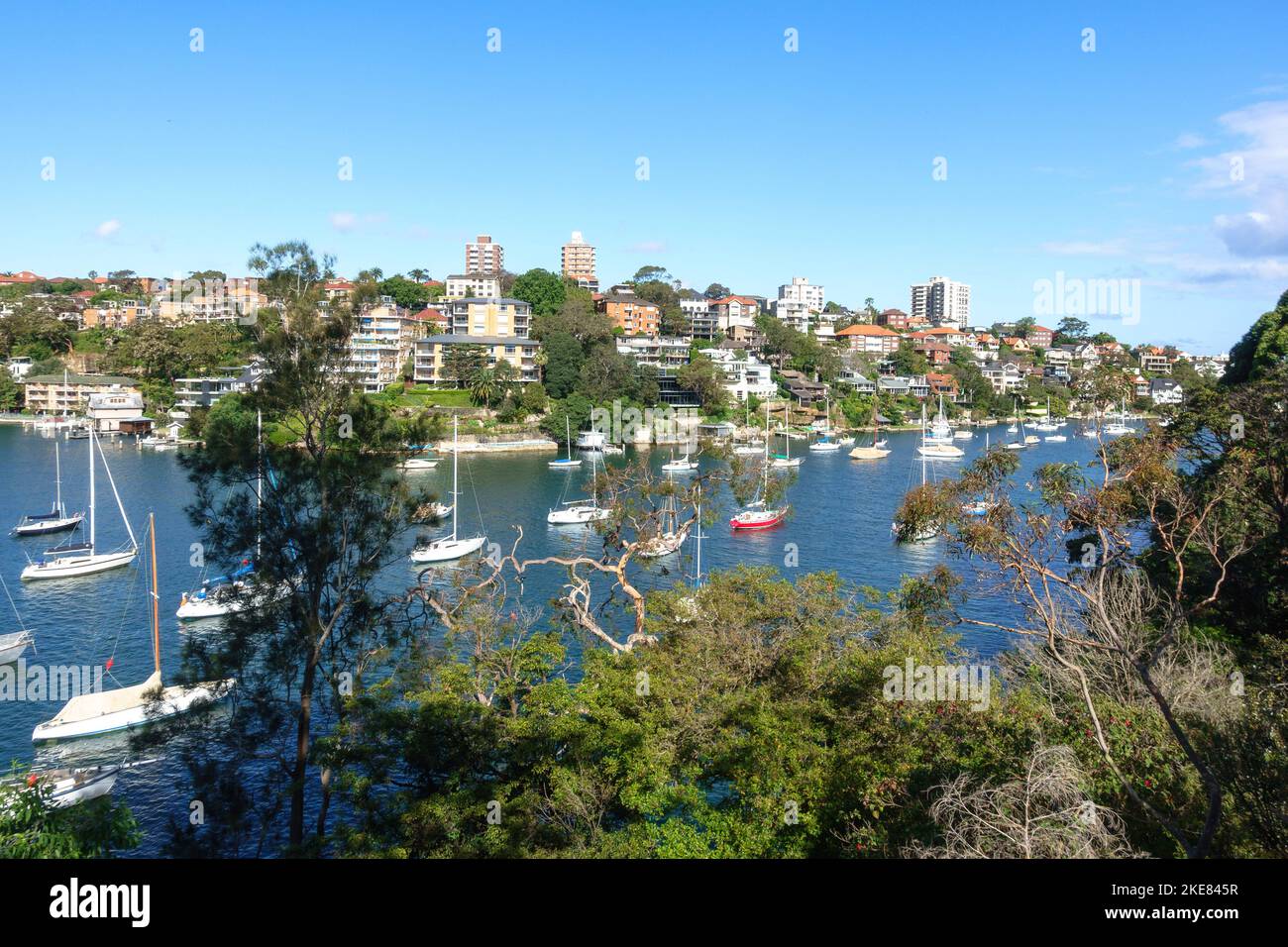 Barche a vela ancorate a Mosman Bay, Sydney, Australia Foto Stock