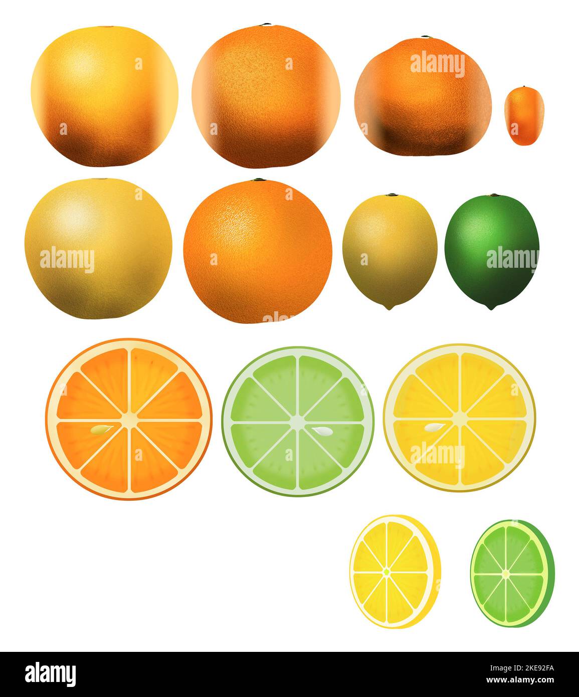 Gli agrumi sono visti come illustrazioni 3-d isolate sullo sfondo per essere utilizzate come risorsa grafica. Si tratta di un background transaprent. Foto Stock