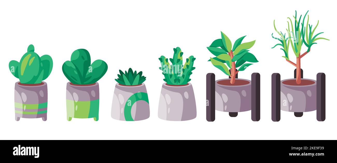 Indor pianta in vaso gruppo di giardinaggio verde set di varie piante Illustrazione Vettoriale