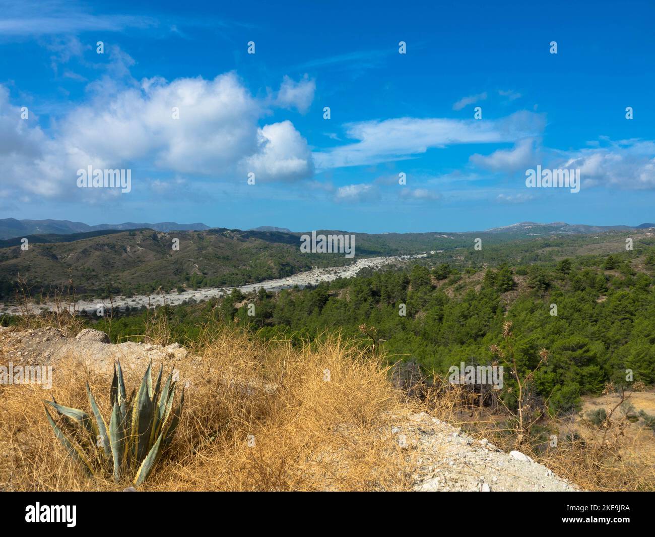 Vista panoramica del tipico paesaggio greco mediterraneo con colline, abeti e cespugli. Concetto di turismo e vacanze. Rhodos Island, Grecia. Foto Stock