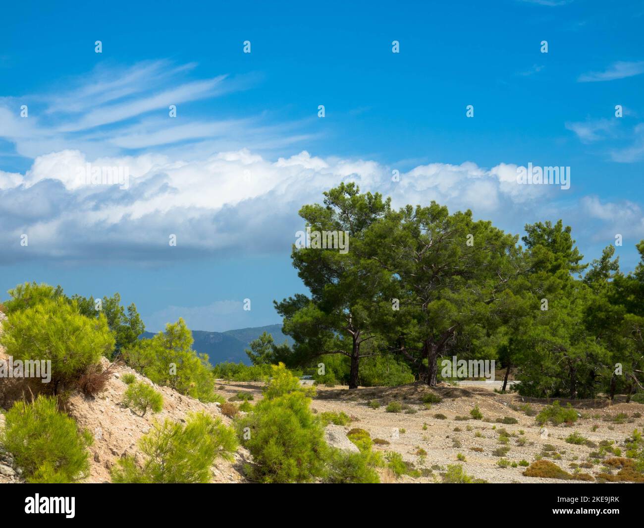 Vista panoramica del tipico paesaggio greco mediterraneo con colline, abeti e cespugli. Concetto di turismo e vacanze. Rhodos Island, Grecia. Foto Stock