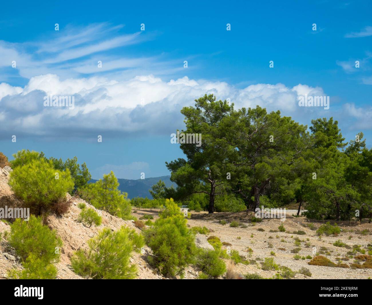 Vista panoramica del tipico paesaggio greco mediterraneo con colline, abeti e cespugli. Concetto di turismo e vacanze. Rhodos Island, Grecia. Foto Stock