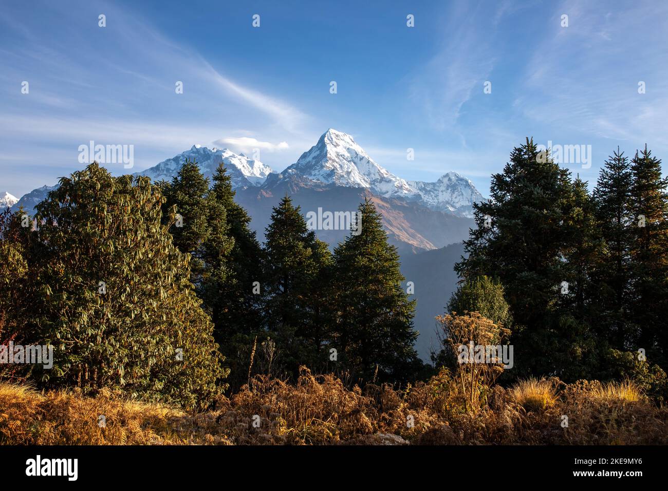 Maestose vette montane del Nepal. Foto Stock