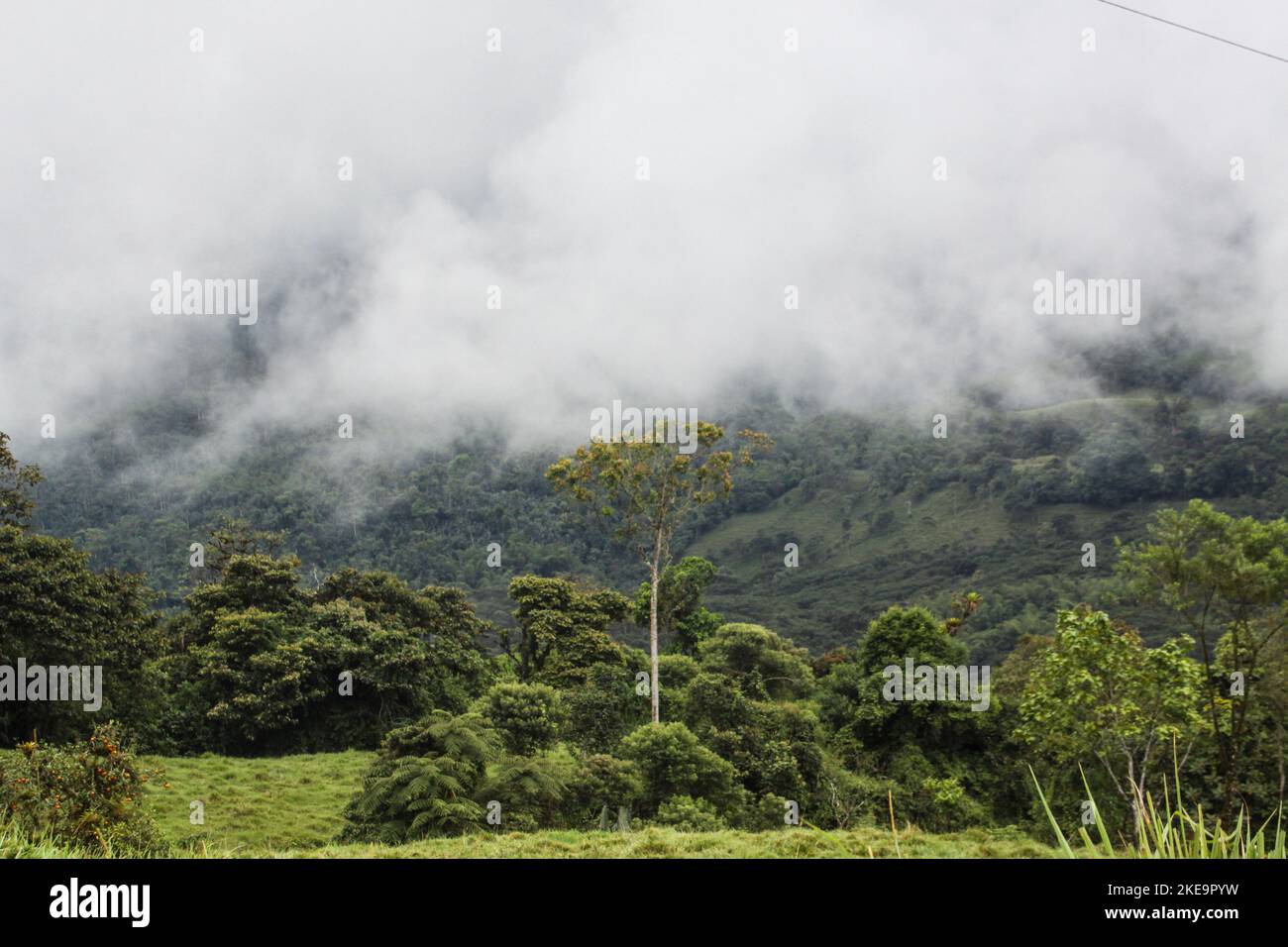 Trasporto fluviale nella foresta pluviale amazzonica ecuadoriana fotografato presso la riserva Cuyabeno Ecuador Foto Stock