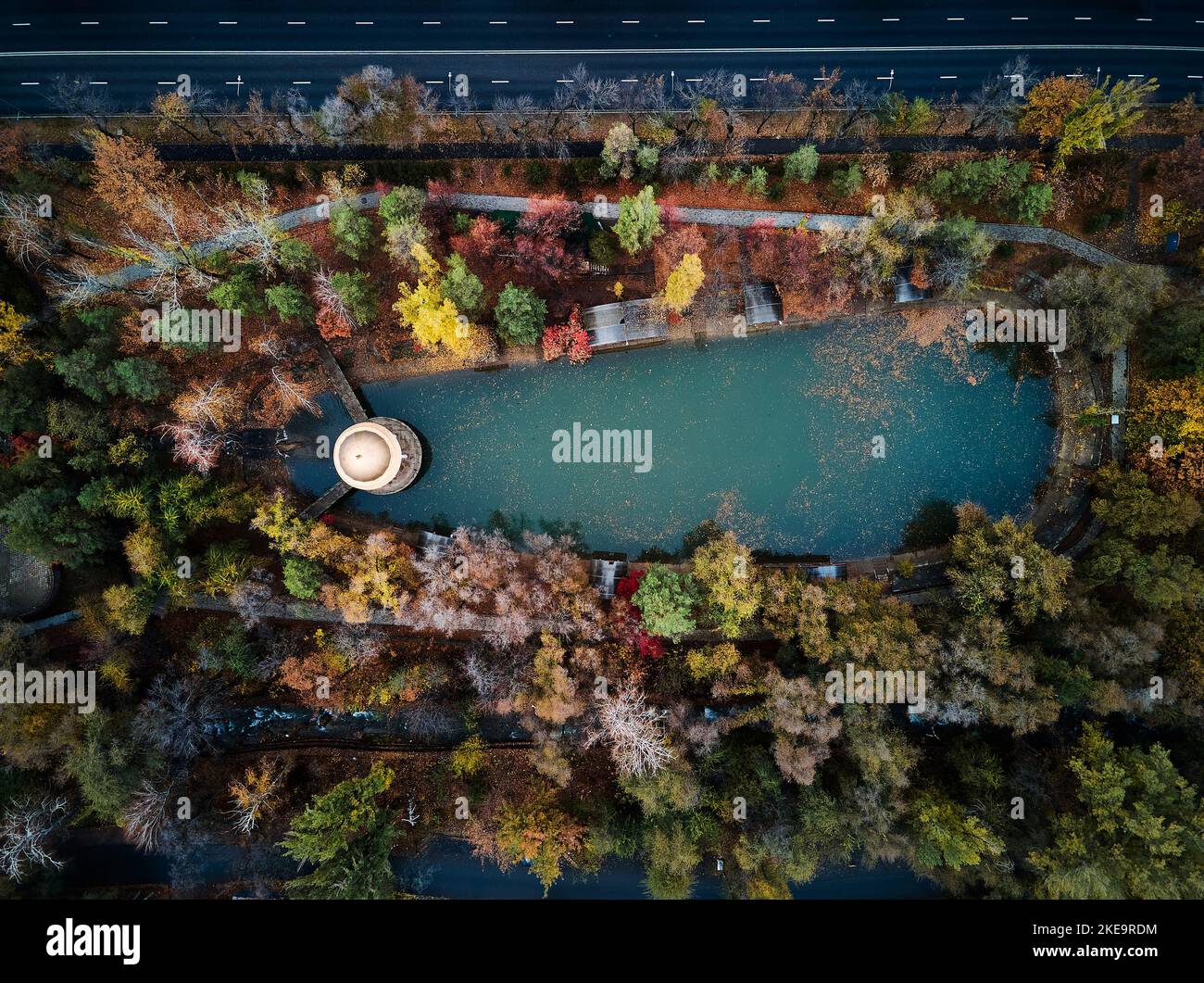 Colpo di drone aereo di piccolo lago verde nel Parco cittadino con foglie gialle acero e rotunda rotonda con ponte attraversare il lago in autunno in Un Foto Stock