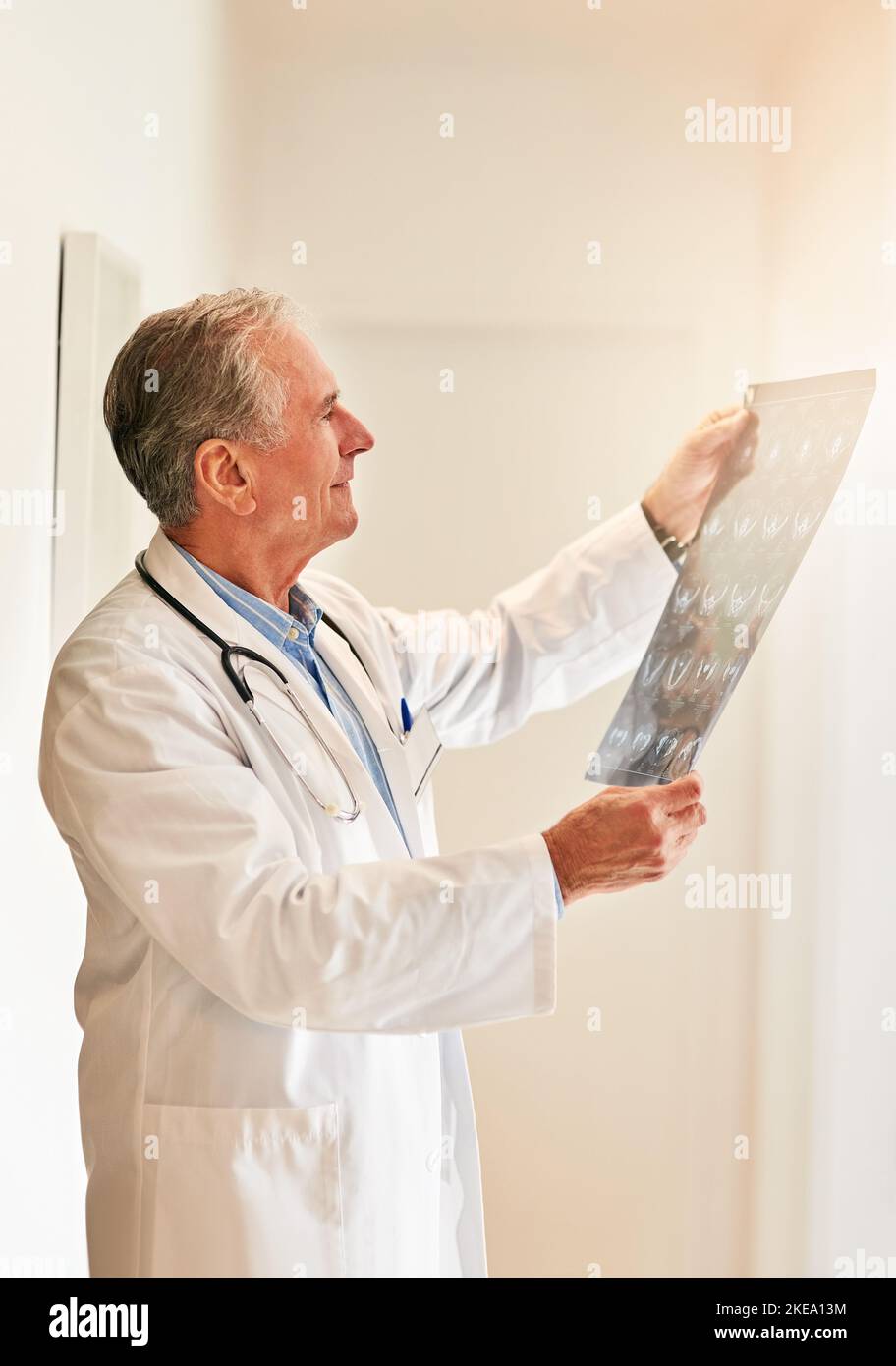 Ora può vedere tutto chiaramente: Un medico maturo che tiene in mano una radiografia per esaminarla. Foto Stock