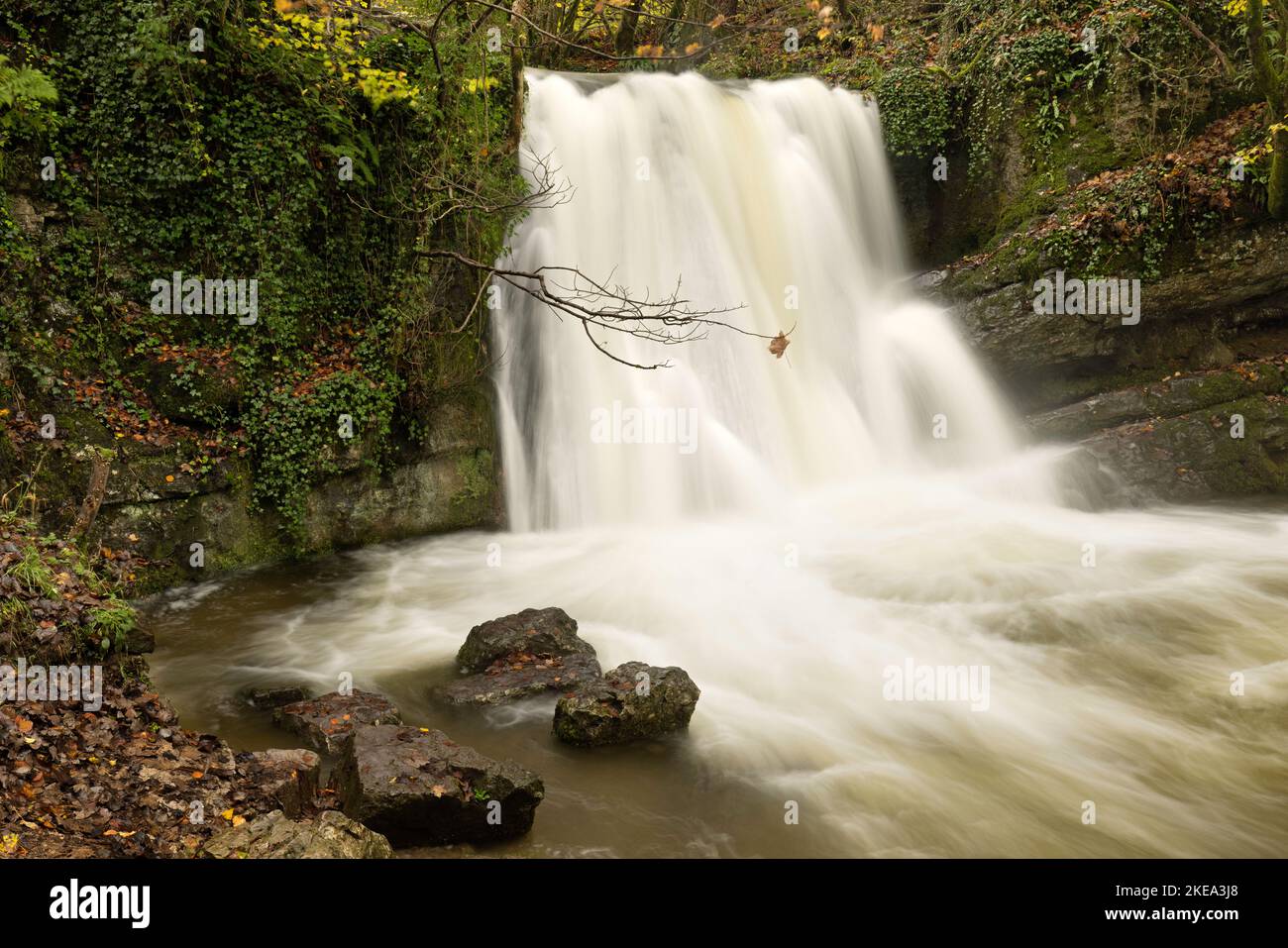 Cascata conosciuta come Janet's Foss, vicino al villaggio di Malham nelle Yorkshire Dales, Regno Unito Foto Stock