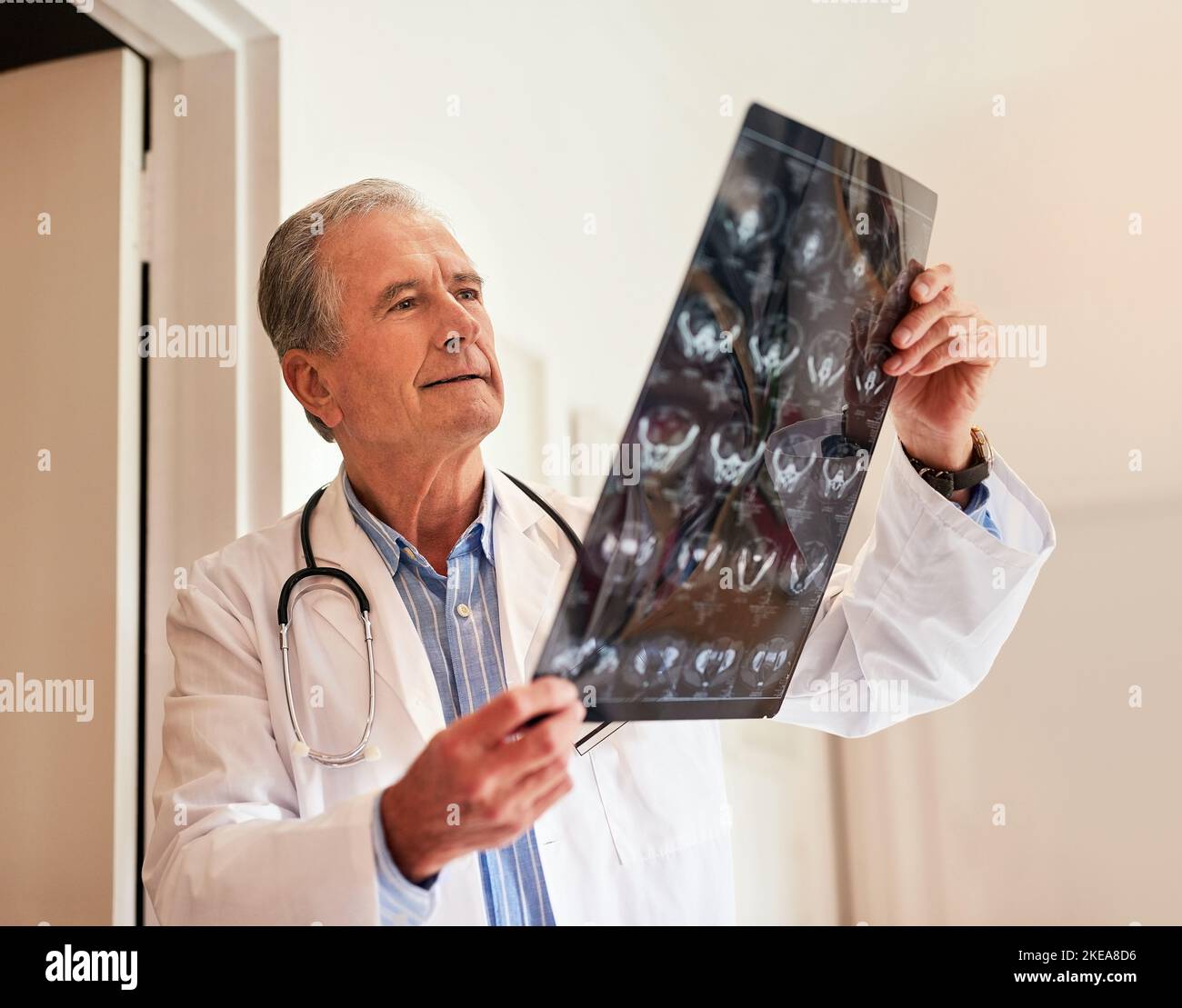 La radiologia è la sua specialità: Un medico maturo che tiene in mano una radiografia per esaminarla. Foto Stock