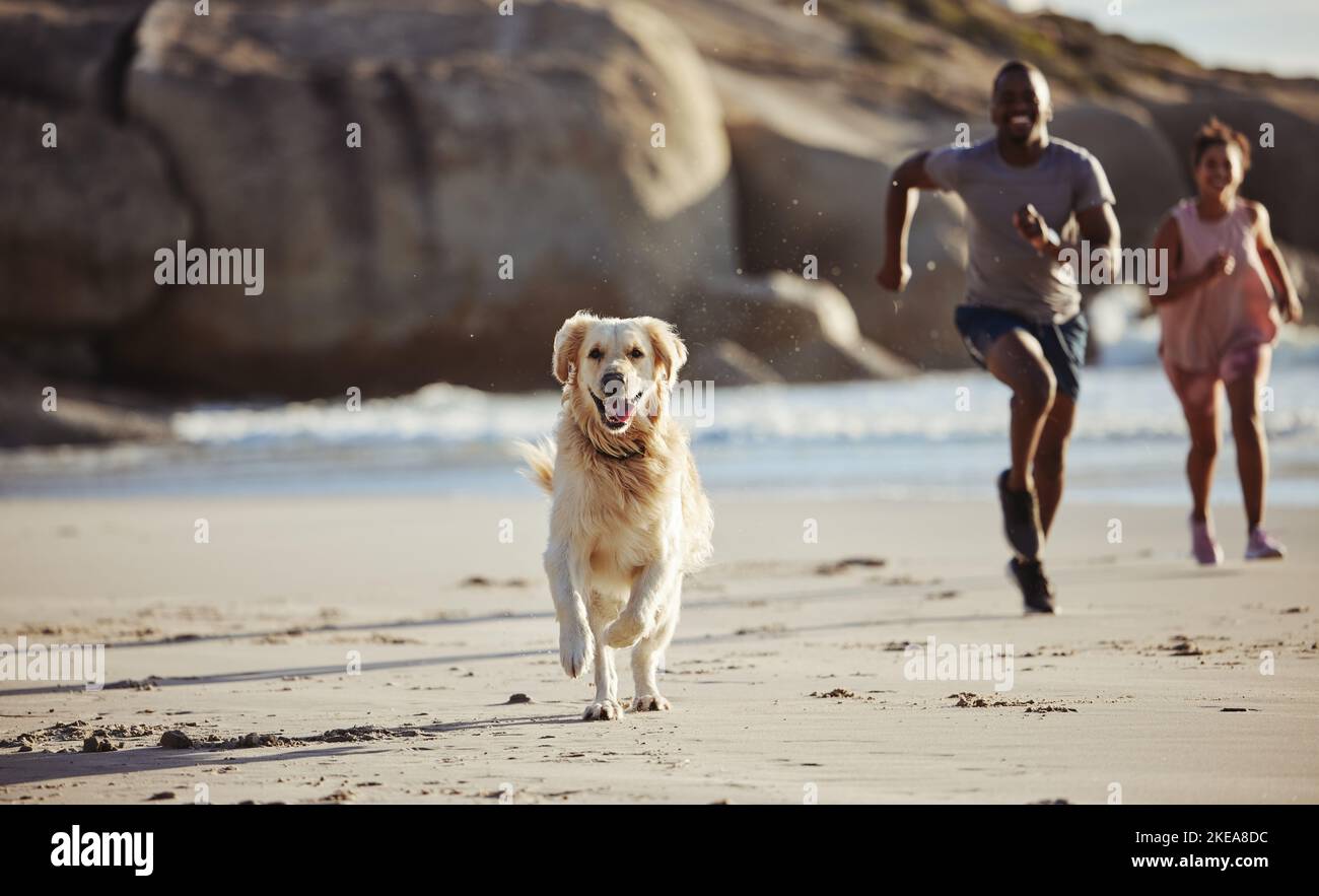 Coppia, spiaggia e cane che corrono per la libertà o vacanza di viaggio insieme con il proprietario dell'animale domestico. Stile di vita sano, allenamento fitness e cucciolo Golden Retriever Foto Stock