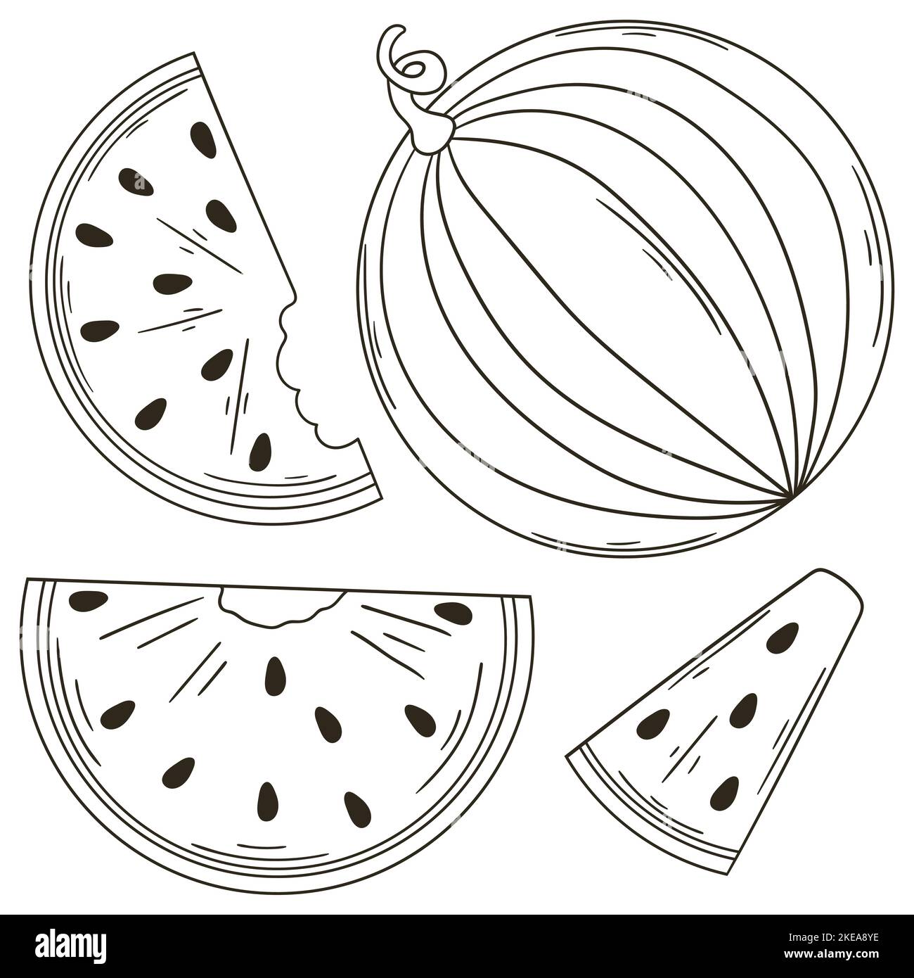 Fetta di anguria disegno da colorare immagini e fotografie stock ad ...