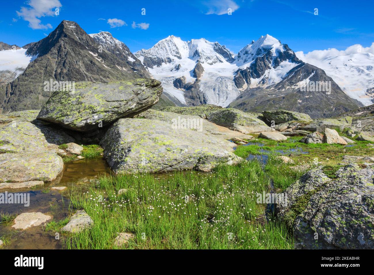 Piz Tschierva-3546 m, Piz Bernina-4049 m, Biancograt, Piz Roseg-3937 m, Graubünden, Schweiz Foto Stock