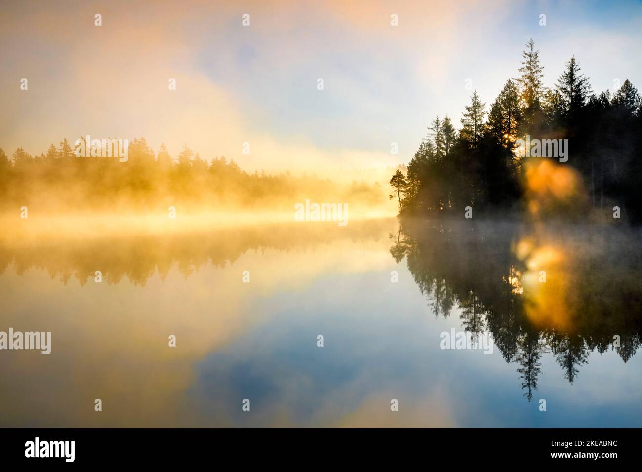 Sonnenaufgang im Gegenlicht mit Nebelschwaden über dem spiegelglatten Moorsee Étang de la Gruère im Kanton Jura, Schweiz Foto Stock