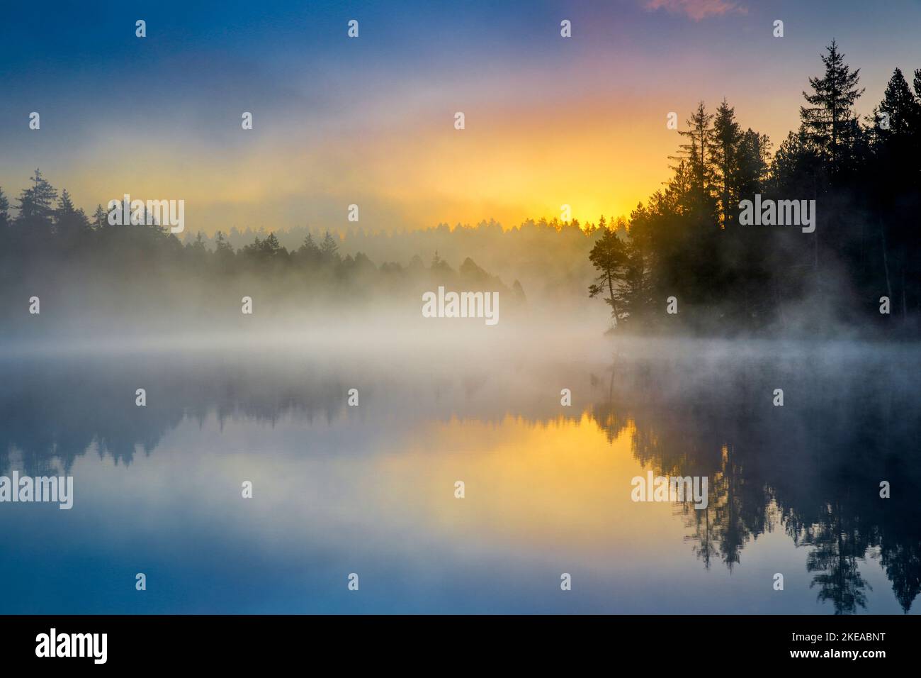 Stimmungsgvoller Sonnenaufgang mit Nebelschwaden über dem spiegelglatten Moorsee Étang de la Gruère im Kanton Jura, Schweiz Foto Stock