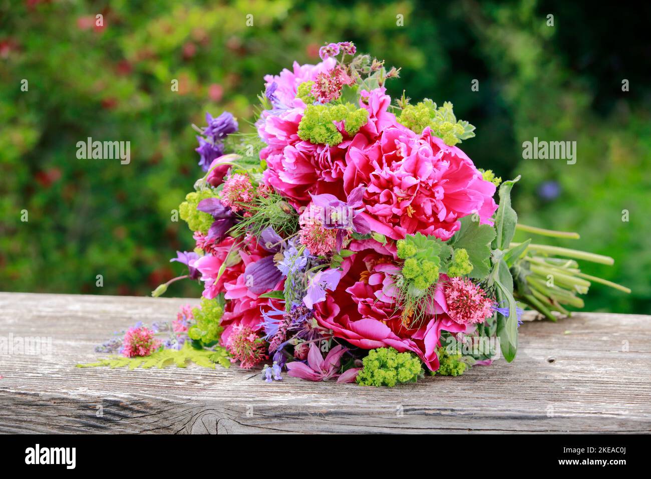 Farbtönen und verwittertem Holzbrett im Garten Foto Stock