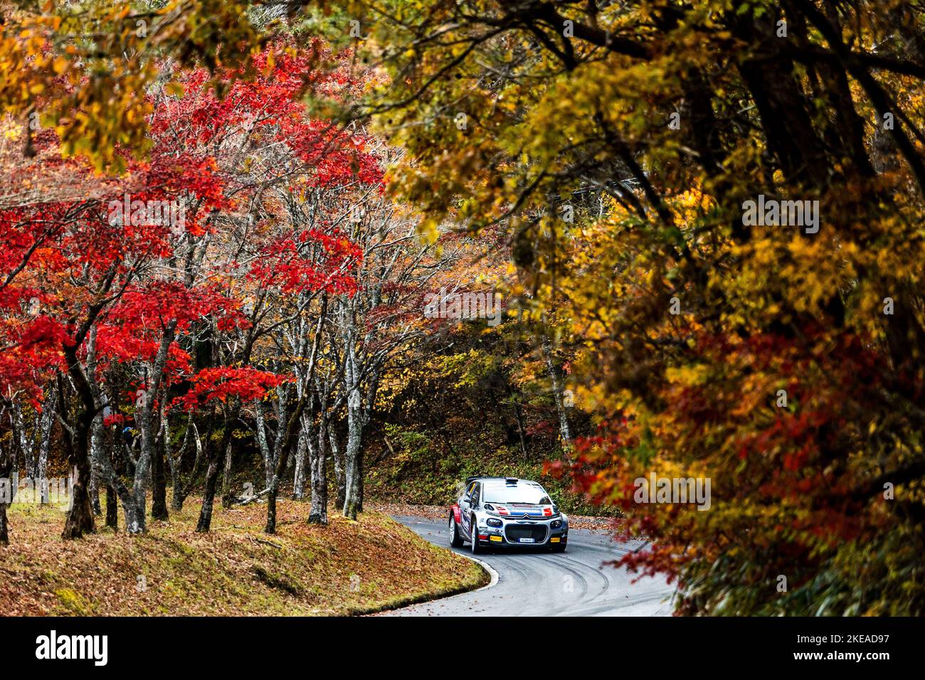 Nagoya, Giappone - 11/11/2022, 26 JOHNSTON Sean (Use), KIHURANI Alexander (usa), Citroen C3, azione durante il Rally Giappone 2022, 13th° round del WRC World Rally Car Championship 2022, dal 10 al 13 novembre 2022 a Nagoya, Giappone - Foto Nikos Katikis / DPPI Foto Stock