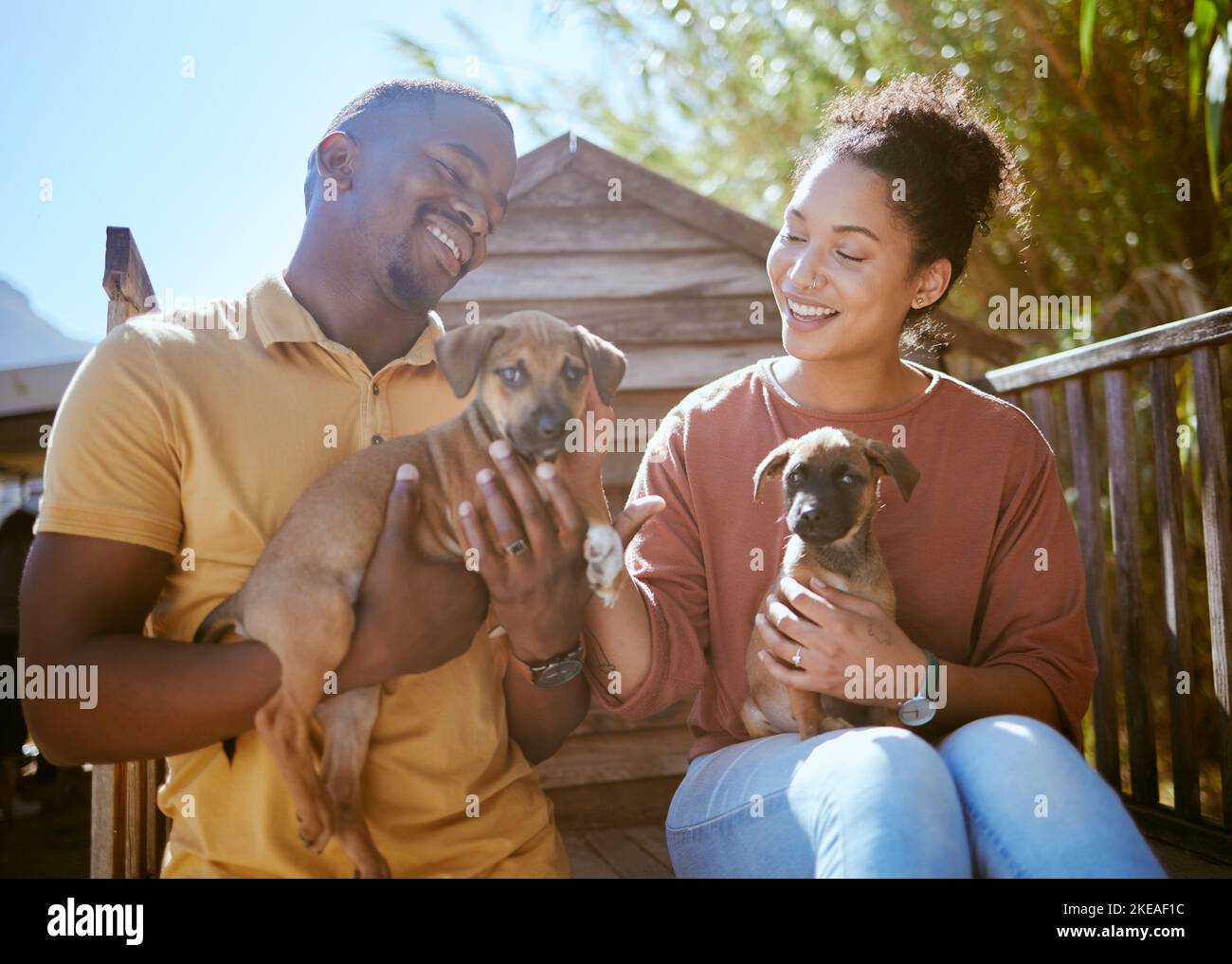 Cane, riparo animale e salvataggio con una coppia nera che tiene un cucciolo per l'adozione in un allevamento di benessere. Aiuto, canino e volontario con un uomo e una donna Foto Stock