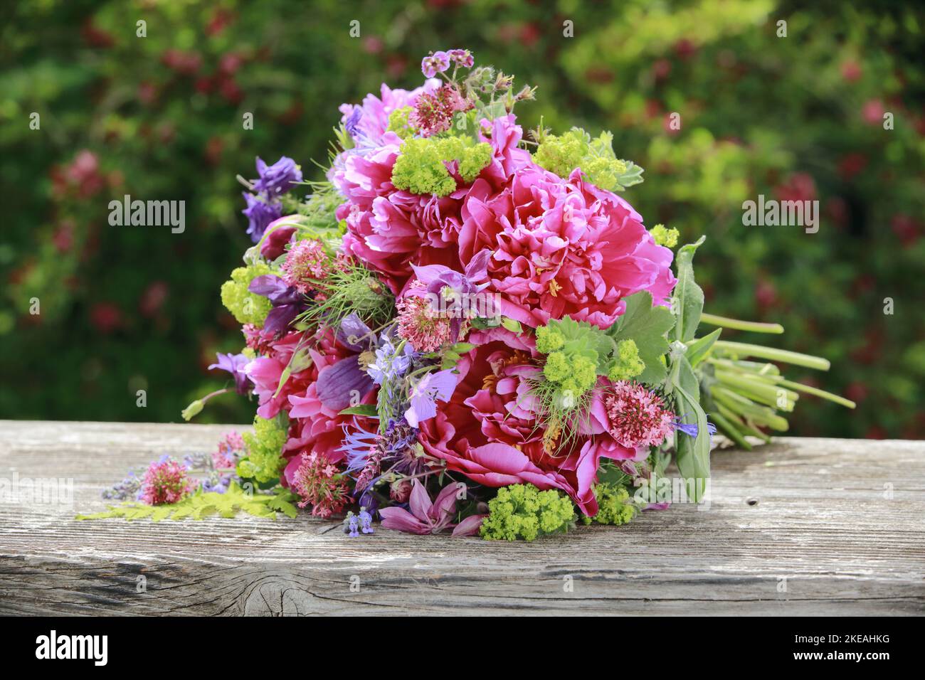 Profumo colorato, rosso, rosa e viola con peonie e colonnine adagiate su una panca in legno da giardino Foto Stock