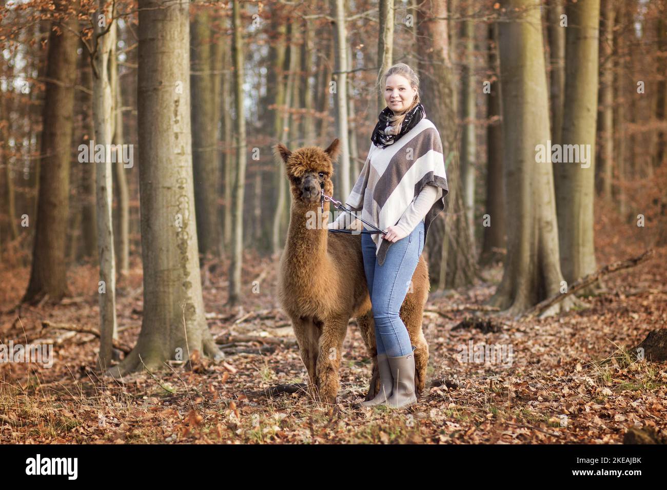 Donna con Alpaca Foto Stock