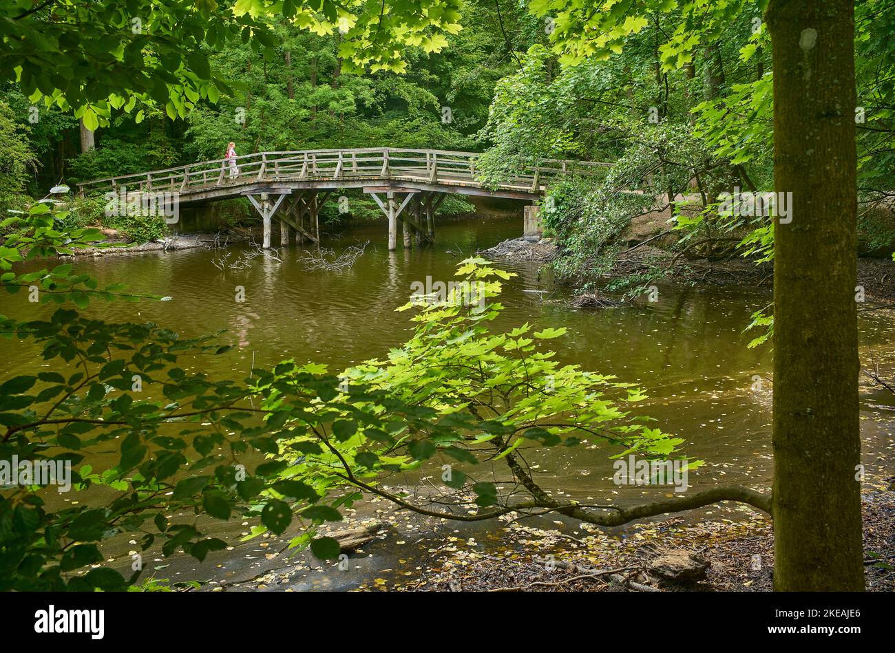 Jakobi Pond presso la foresta della città di Francoforte con ponte, Germania, Assia, Francoforte sul meno Foto Stock