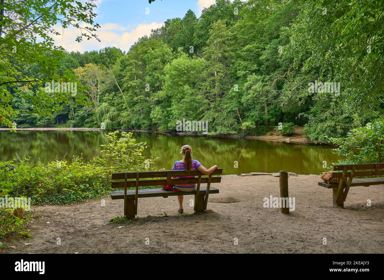 Donna siede su una panchina presso lo stagno Jakobi nella foresta della città Francoforte, Germania, Assia, Francoforte sul meno Foto Stock