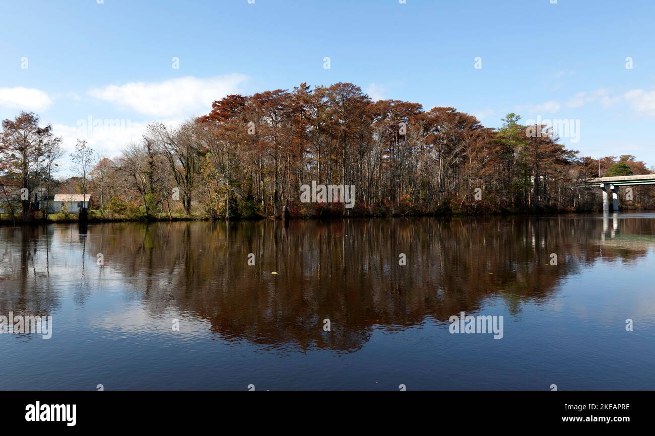 South Bank del fiume Pocomoke, tra la US 13 e Market Street, preso da Cypress Park, Pocomoke City, Maryland, USA Foto Stock