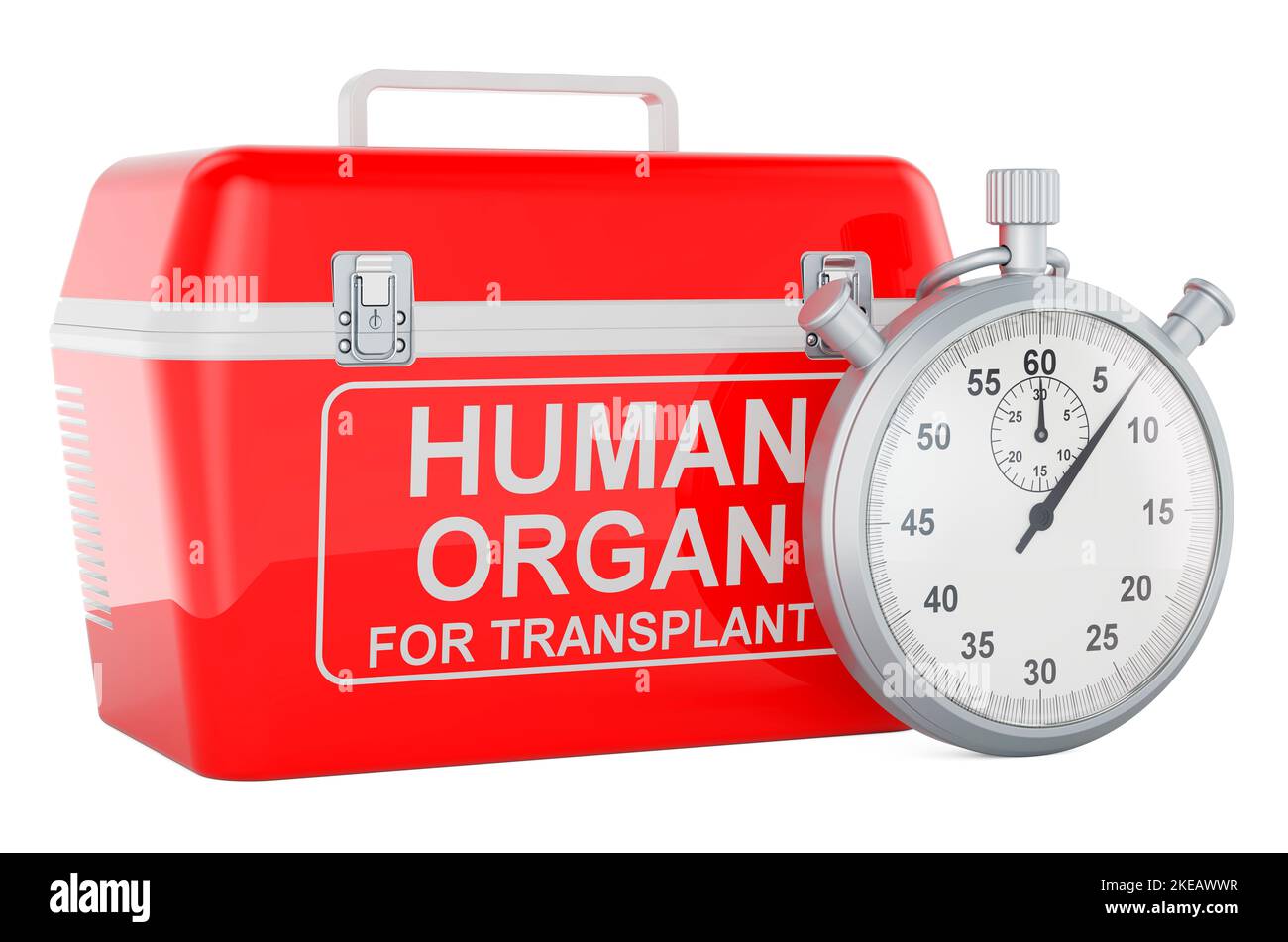 Frigorifero portatile per il trasporto di organi donatori con cronometro. 3D rendering isolato su sfondo bianco Foto Stock