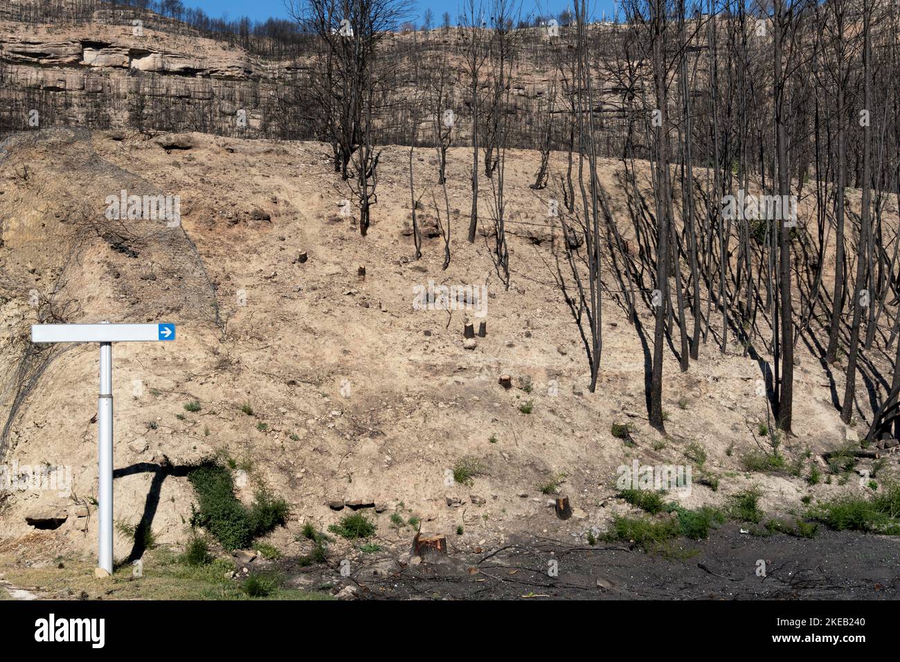 Area di alberi bruciati e sabbiosi accanto al cartello segnaletico bianco, sull'autostrada Foto Stock