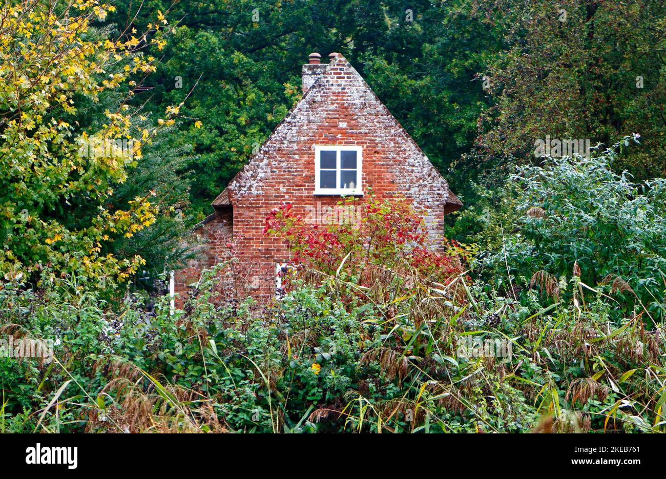 Una vista di Toad Hole Cottage, un restaurato Marshman's Cottage, immerso negli alberi in autunno sul Norfolk Broads a How Hill, Ludham, Norfolk, Regno Unito. Foto Stock