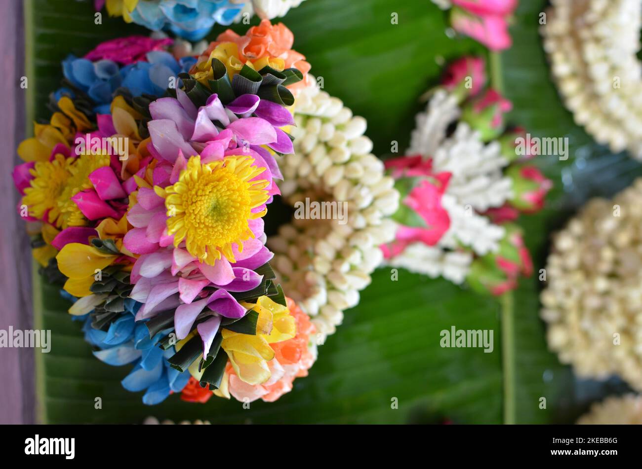 Mercato dei fiori Bangkok colorfull fresco decorazione floreale Foto Stock