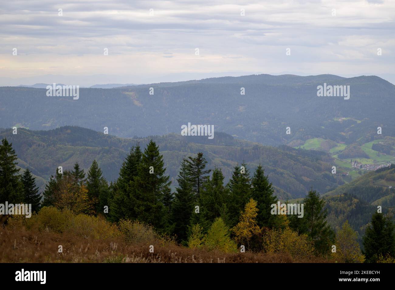 Splendida vista da una montagna nella Foresta Nera su tutta la Foresta Nera con molti abeti in primo piano e un piccolo villaggio di montagna in Foto Stock