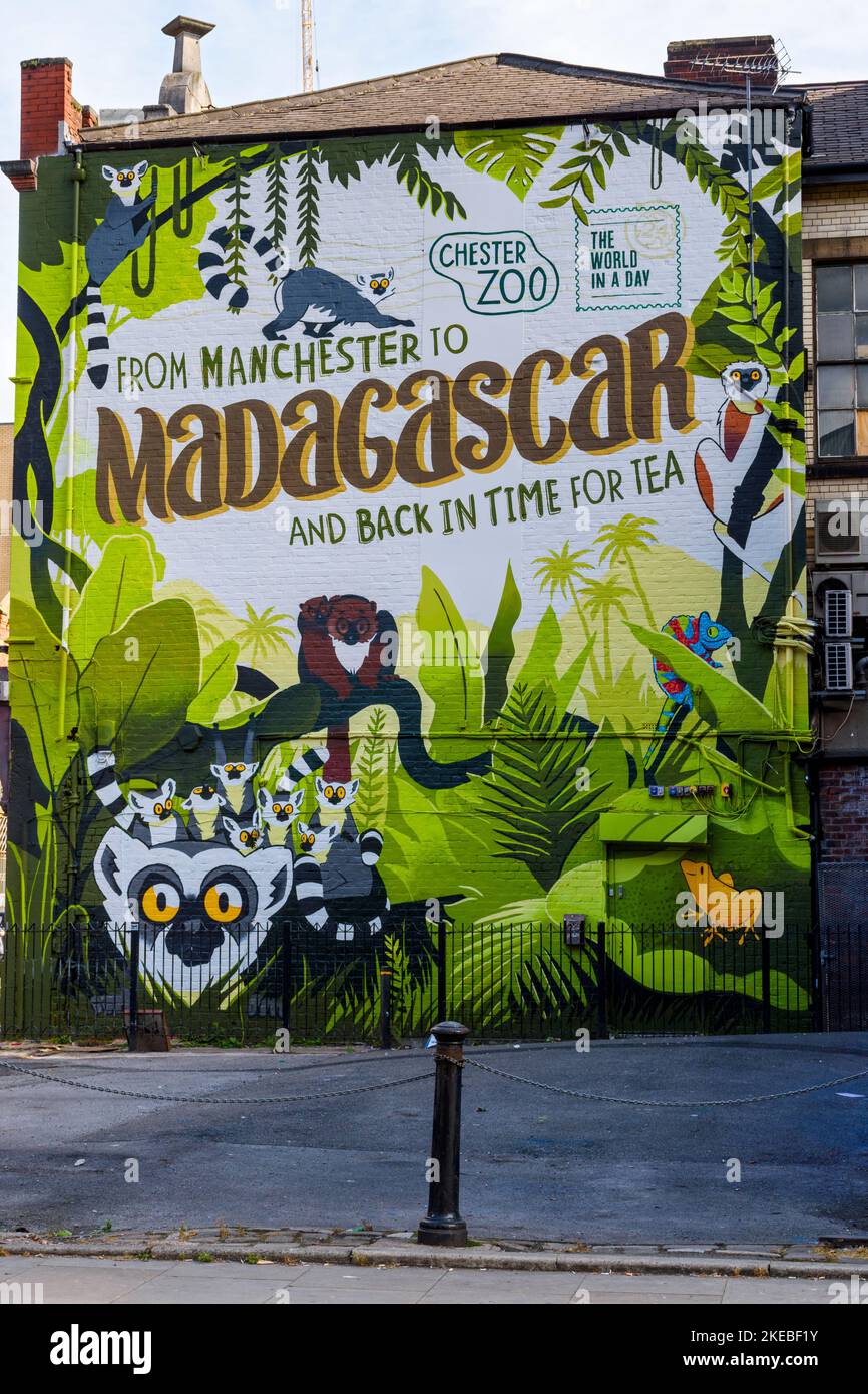 Pubblicità murale al muro per lo zoo di Chester, Northern Quarter, Manchester, Inghilterra, Regno Unito Foto Stock