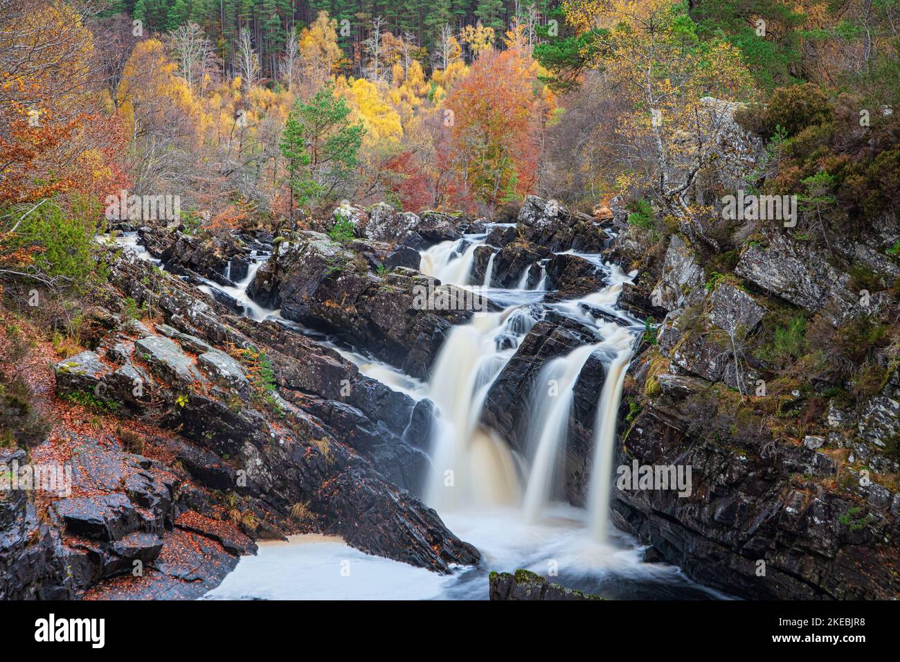 Cascate Rogie nelle Highlands della Scozia. Foto Stock