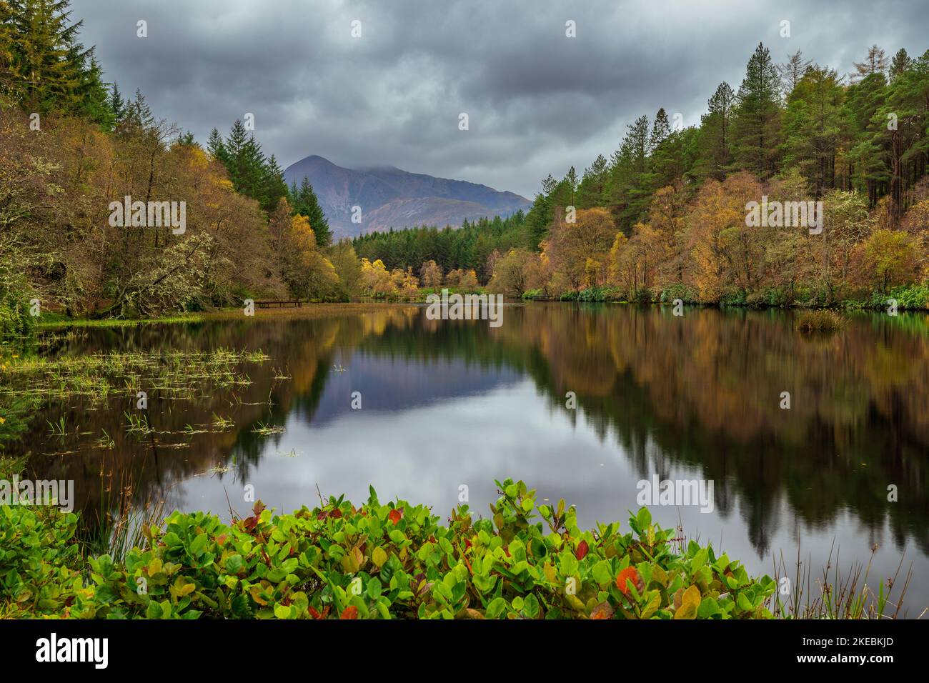 Autunno a Glencoe Lochan Foto Stock Autunno a Glencoe Lochan Foto Stock
