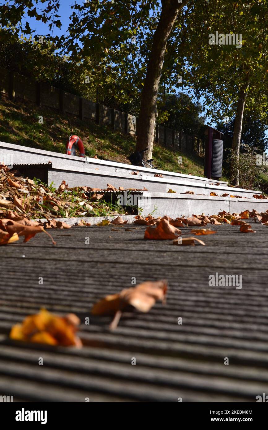Foglie che cadono su scale di legno Foto Stock