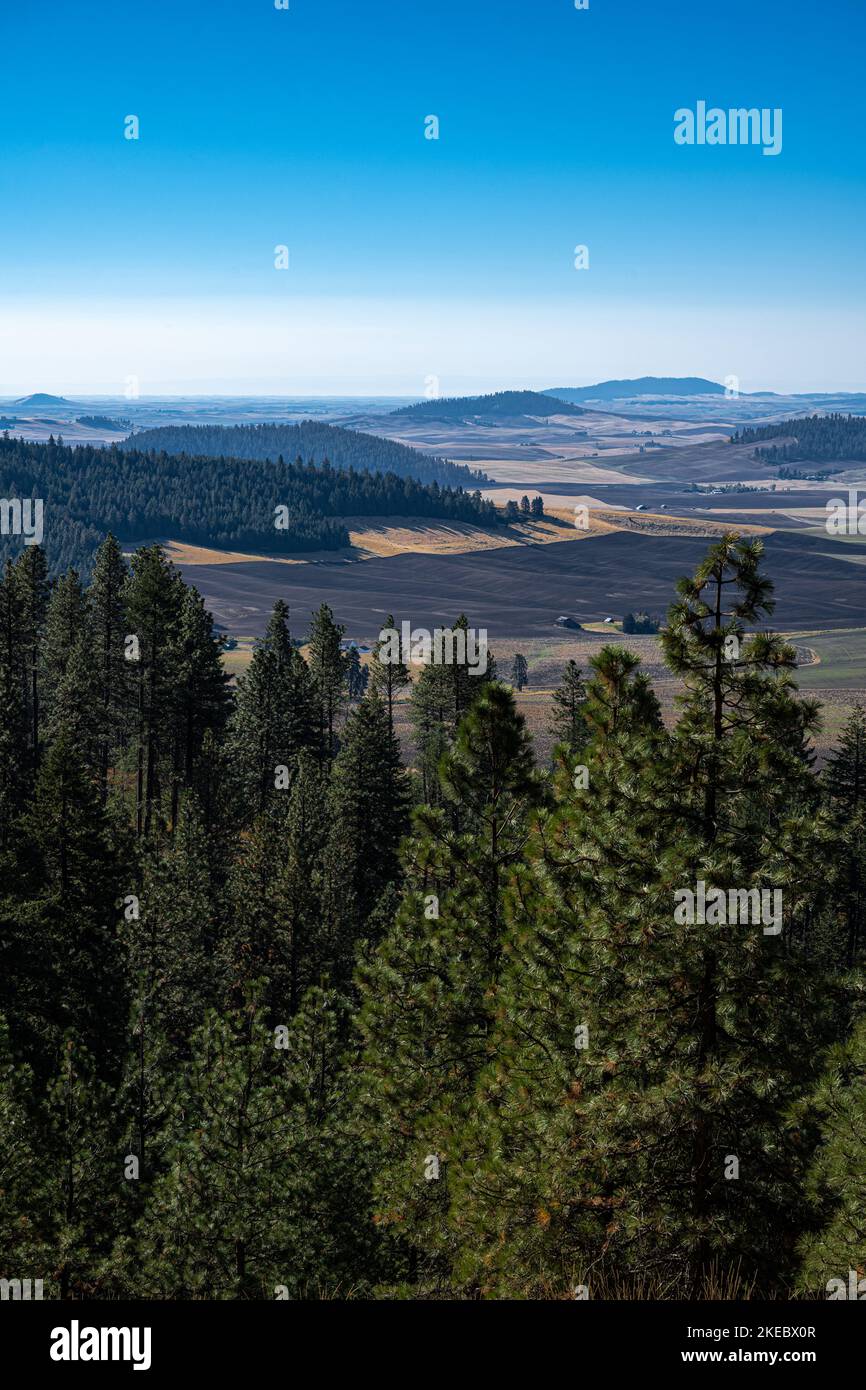 Mary Minerva McCroskey Memorial state Park in Idaho Foto Stock