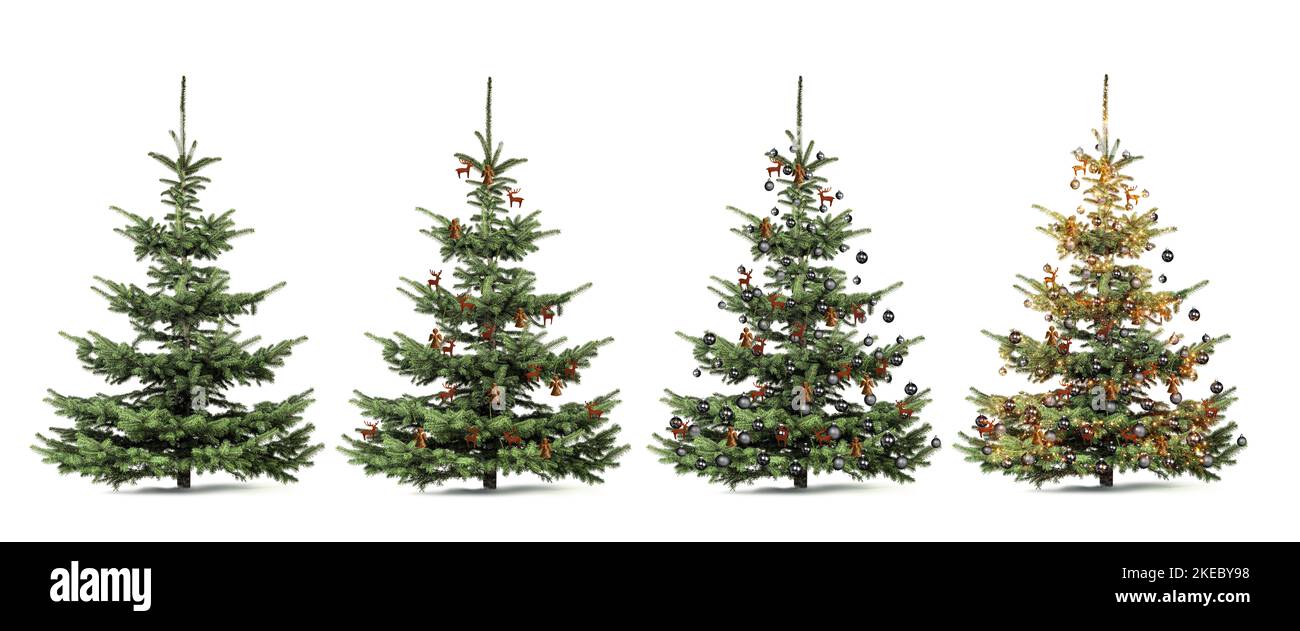 Alberi di Natale non decorati e decorati su sfondo bianco Foto Stock