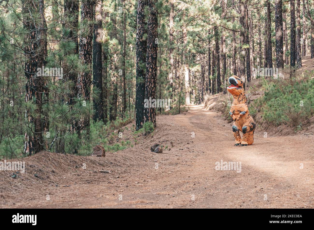 un costume t-rex scoprire la terra e camminare sulla strada di una foresta o montagna alla ricerca di qualcosa Foto Stock