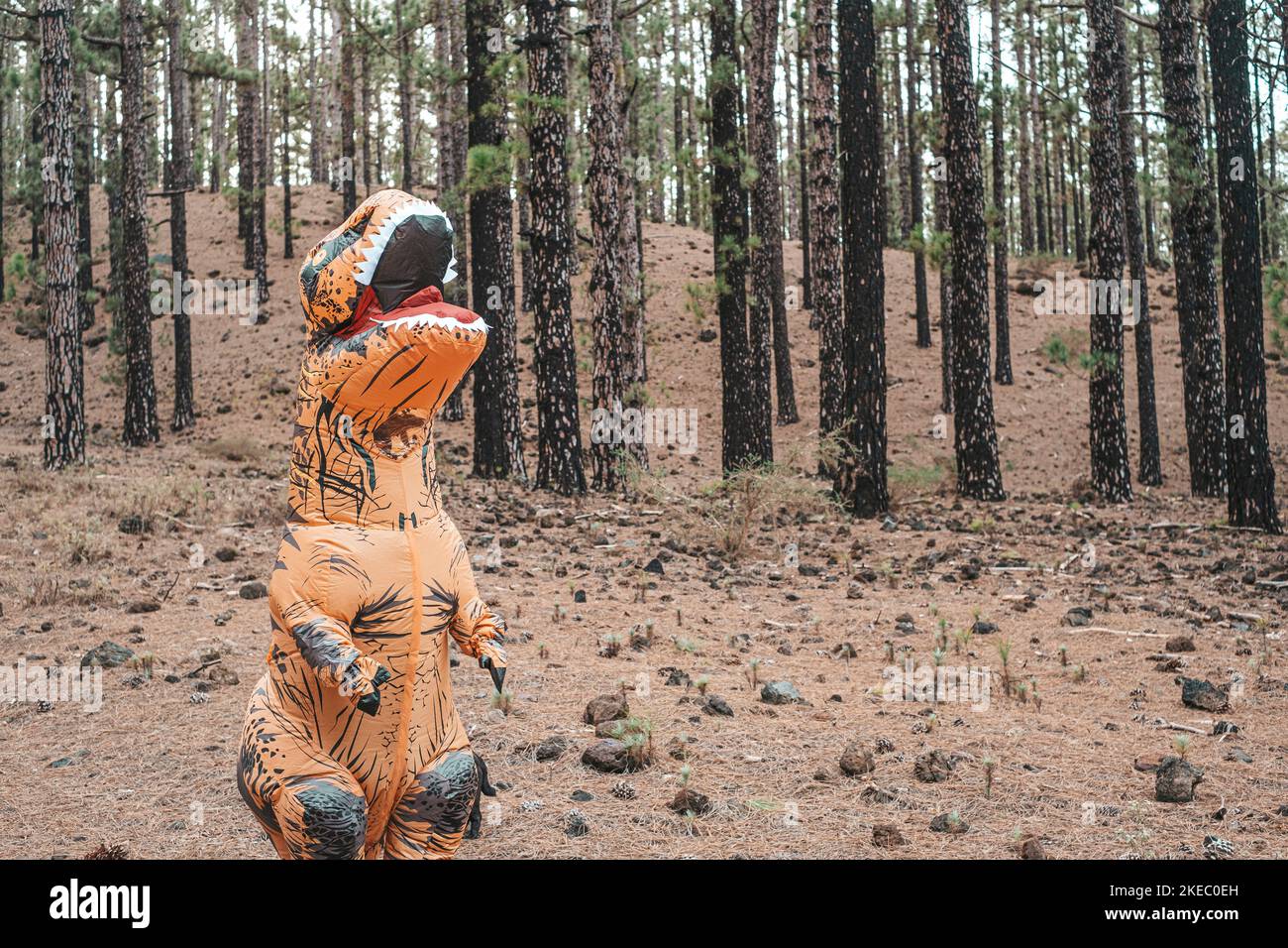 un costume t-rex scoprire la terra e camminare sulla strada di una foresta o montagna alla ricerca di qualcosa Foto Stock