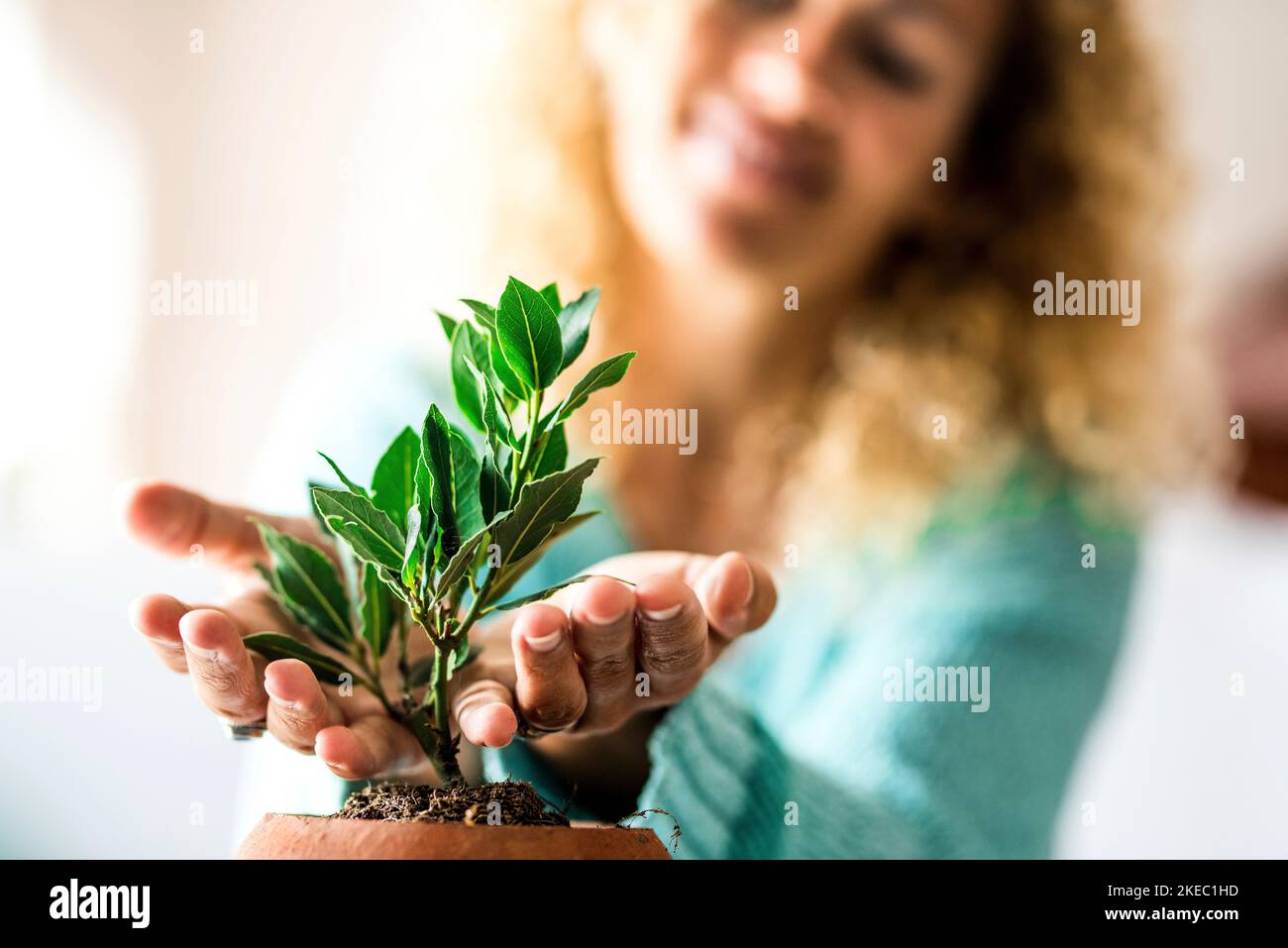 primo piano e ritratto della donna che si prende cura di una piccola pianta all'interno della sua casa - pianta che cresce Foto Stock