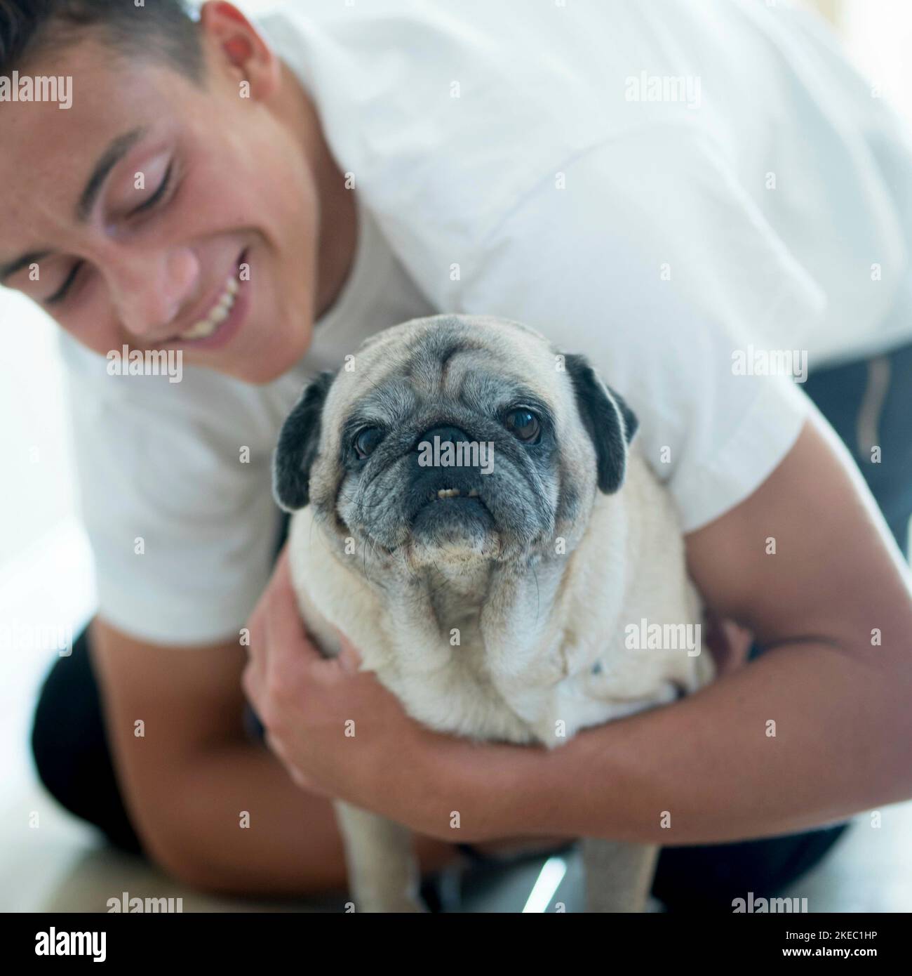 primo piano e ritratto di due migliori amici a casa insieme - adolescente che guarda con amore al suo pug - pet e concetto domestico del cane Foto Stock