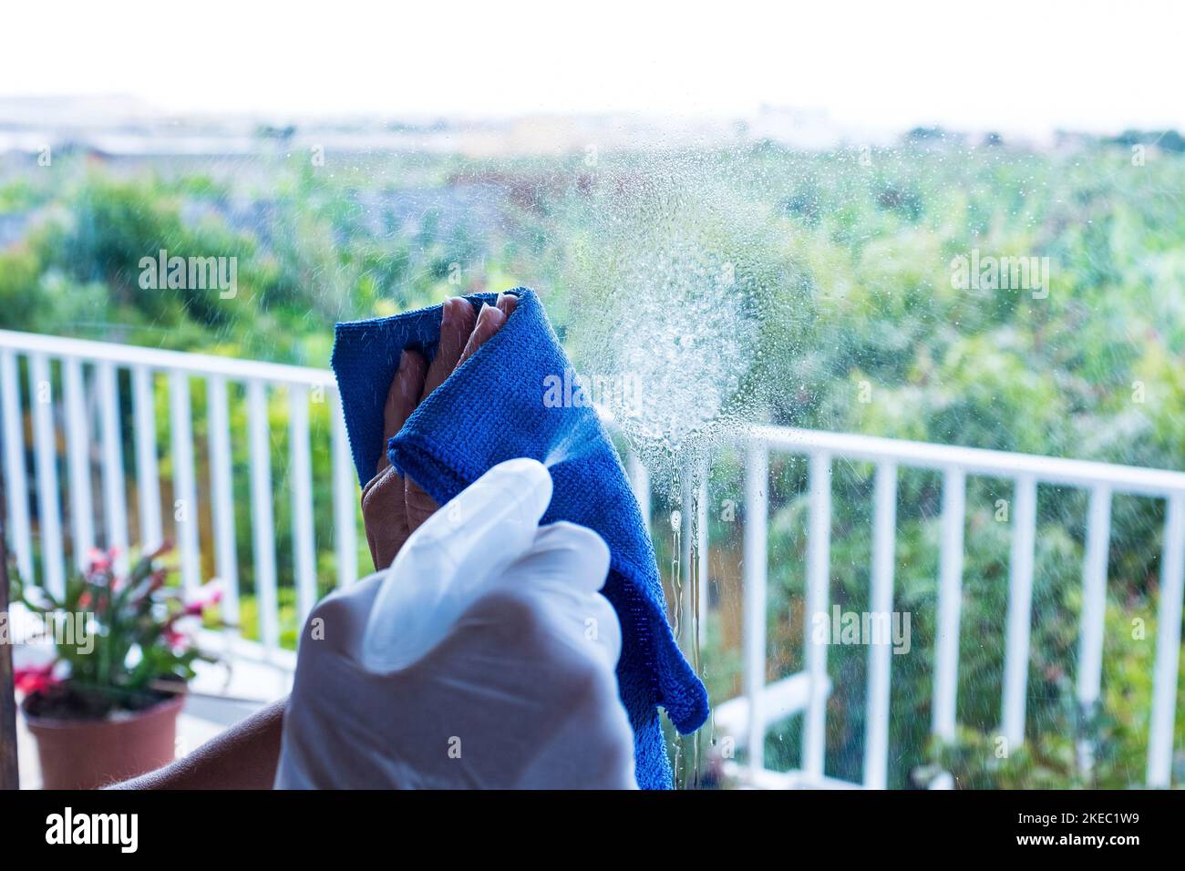 primo piano di mani o uomo o donna che pulisce il vetro della finestra della casa con spray per uccidere ogni germe o batteri all'interno della casa - casalinga che lavora nel lavoro di lavaggio e pulizia con disinfettante Foto Stock